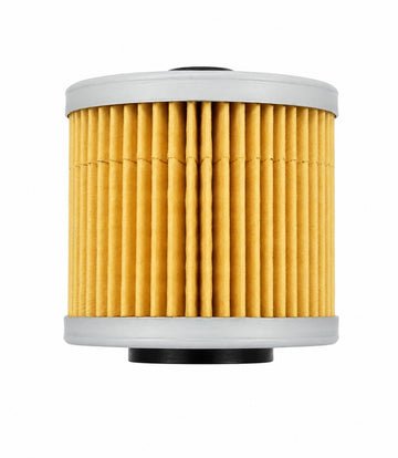 Benelli Imperiale 400 oil filter OEM 269095040000