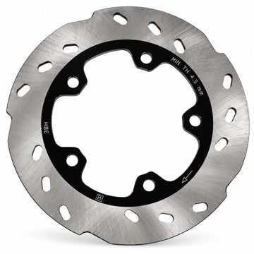 BMW G 310 R and G 310 GS rear brake disc rotor front view